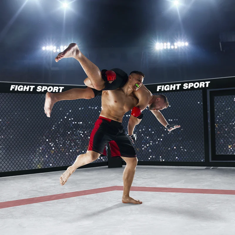 Het standpunt van verdedigers in de sport invoeren: Van Standard naar Screen Screening Solutions 4 Het standpunt van verdedigers in de sport invoeren: Van Standard naar Screen Screening Solutions 3